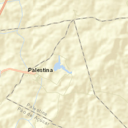 Palestina Street Map
