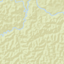 Purus Street Map
