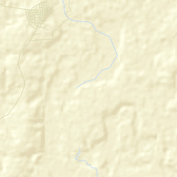 Ascensión Street Map