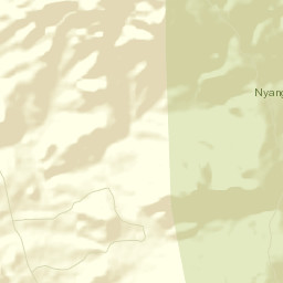 Nyanga District Street Map