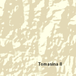 Toamasina II Street Map