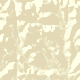 Sesfontein Constituency Street Map