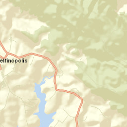 Delfinópolis Street Map