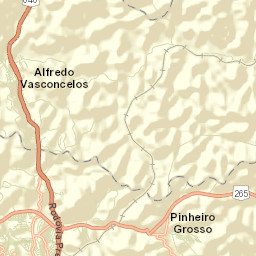 Alfredo Vasconcelos Street Map