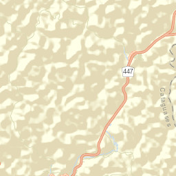 Cataguases Street Map