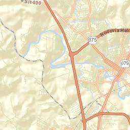 Salto Street Map