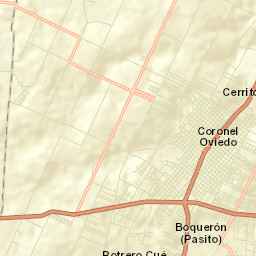 Coronel Oviedo Street Map