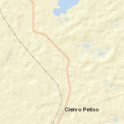 Ciervo Petiso Street Map