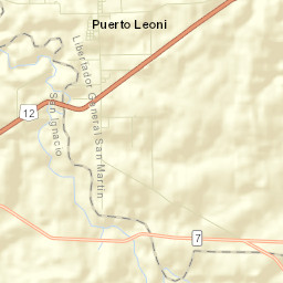 Puerto Leoni Street Map