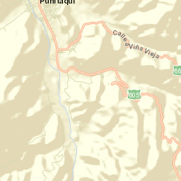 Punitaqui Street Map