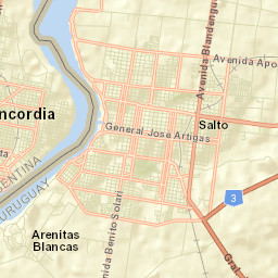 Salto Street Map