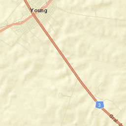 Young Street Map