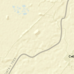 Cebollatí Street Map