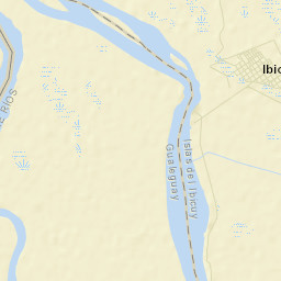 Puerto Ibicuy Street Map