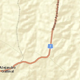 Alejandro Gallinal Street Map