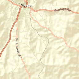 Young Street Map