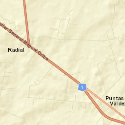 Puntas de Valdéz Street Map