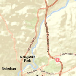 Taupo Street Map