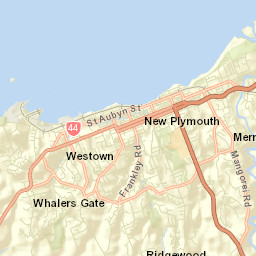 New Plymouth Street Map