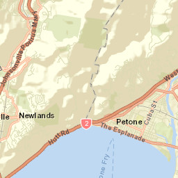 Petone Street Map