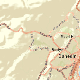 Dunedin Street Map