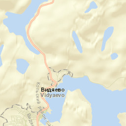 Vidyayevo Street Map