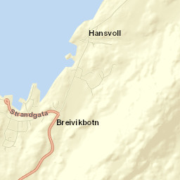 Hasvik Street Map