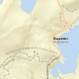 Vidyayevo Street Map