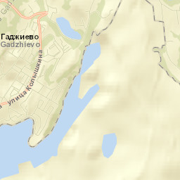 Gadzhiyevo Street Map