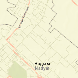 Nadym Street Map