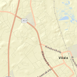 Viiala Street Map