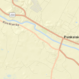 Punkalaidun Street Map