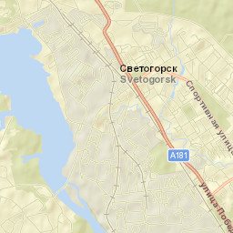 Svetogorsk Street Map