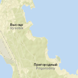 Vysotsk Street Map