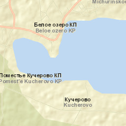 Michurinskoye Street Map