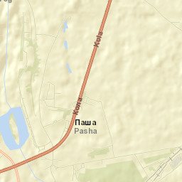 Pasha Street Map