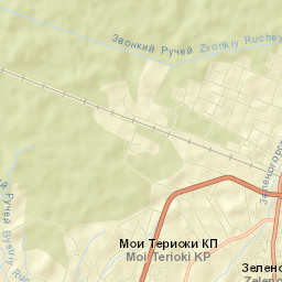 Zelenogorsk Street Map