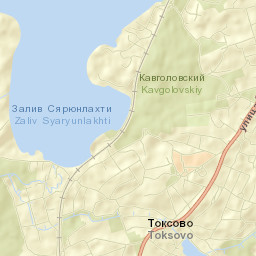 Vsevolozhskiy Rayon Street Map
