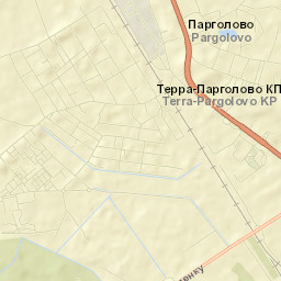 Pargolovo Street Map
