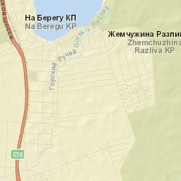 Gorskaya Street Map