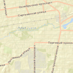 Vsevolozhsk Street Map