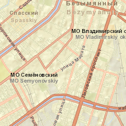 Centralniy Street Map