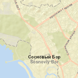 Sosnovyy Bor Street Map