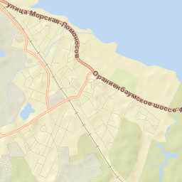 Petrodvorets Street Map