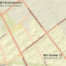 Frunzenskiy Rayon Street Map