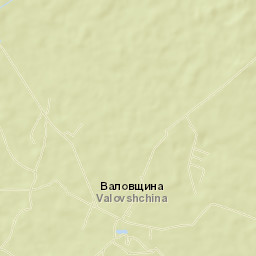 Priladozhskiy Street Map