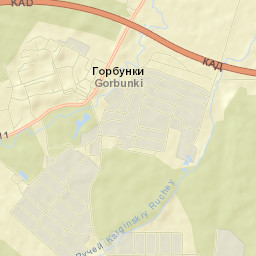 Gorbunki Street Map