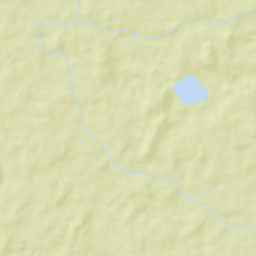 Tikhvinskiy Rayon Street Map