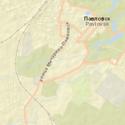Pavlovsk Street Map