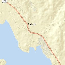 Selvik Street Map